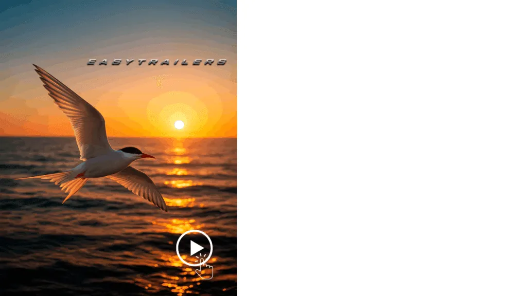 Easy Trailers anuncia nova marca e abre uma nova era em sua história