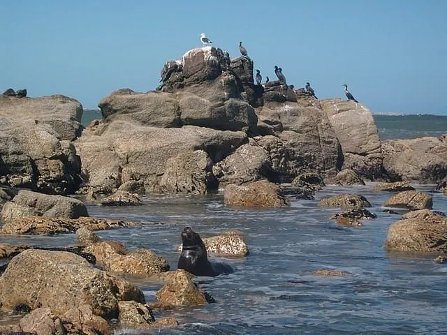 Viajar de trailer pelo Uruguai: guia completo