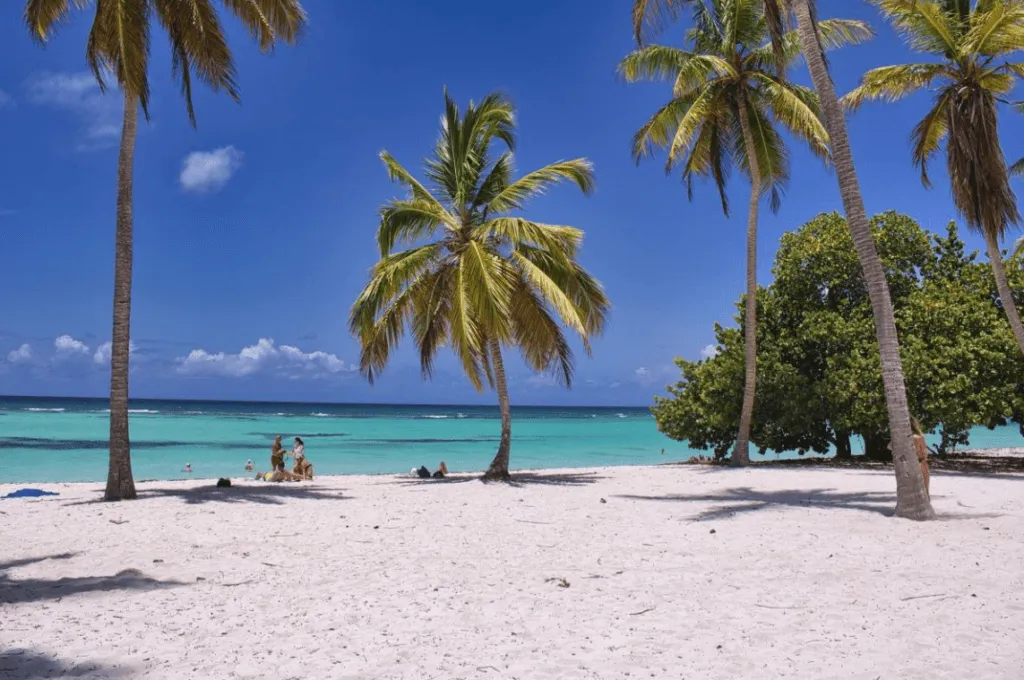 Lugares para acampar no verão: estes são incríveis